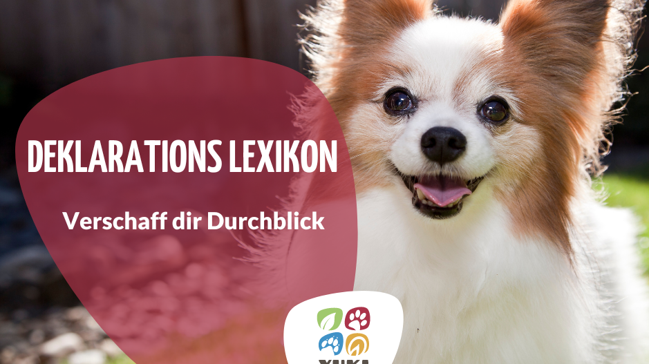 Deklarations-Lexikon