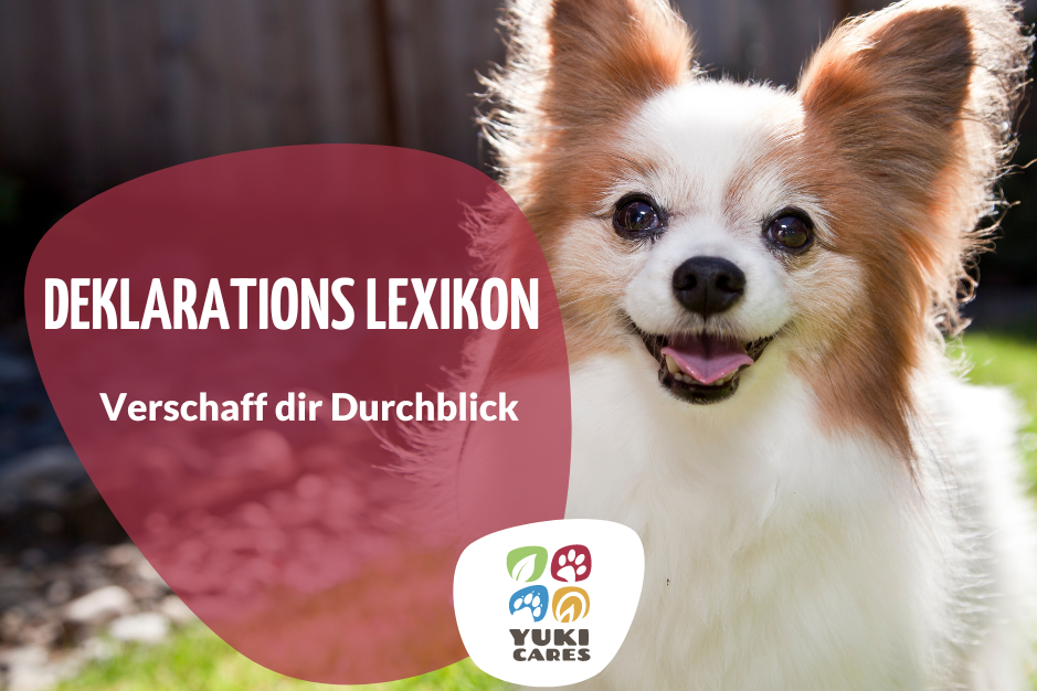 Deklarations-Lexikon