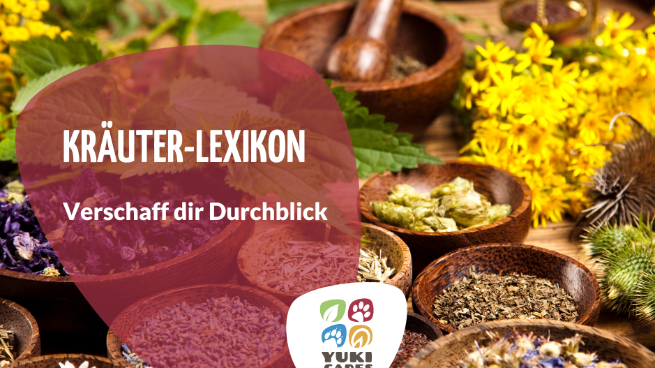 Kräuter-Lexikon