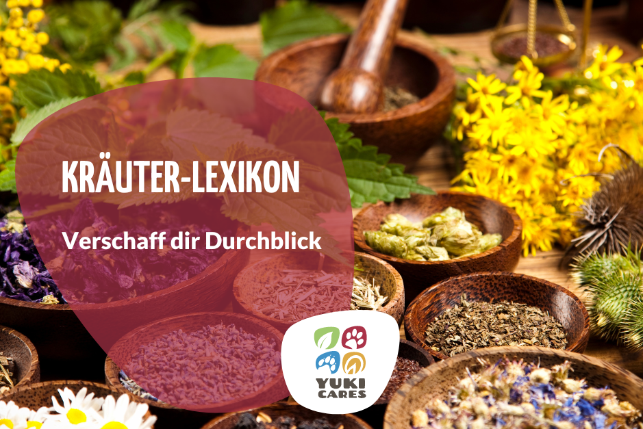 Kräuter-Lexikon