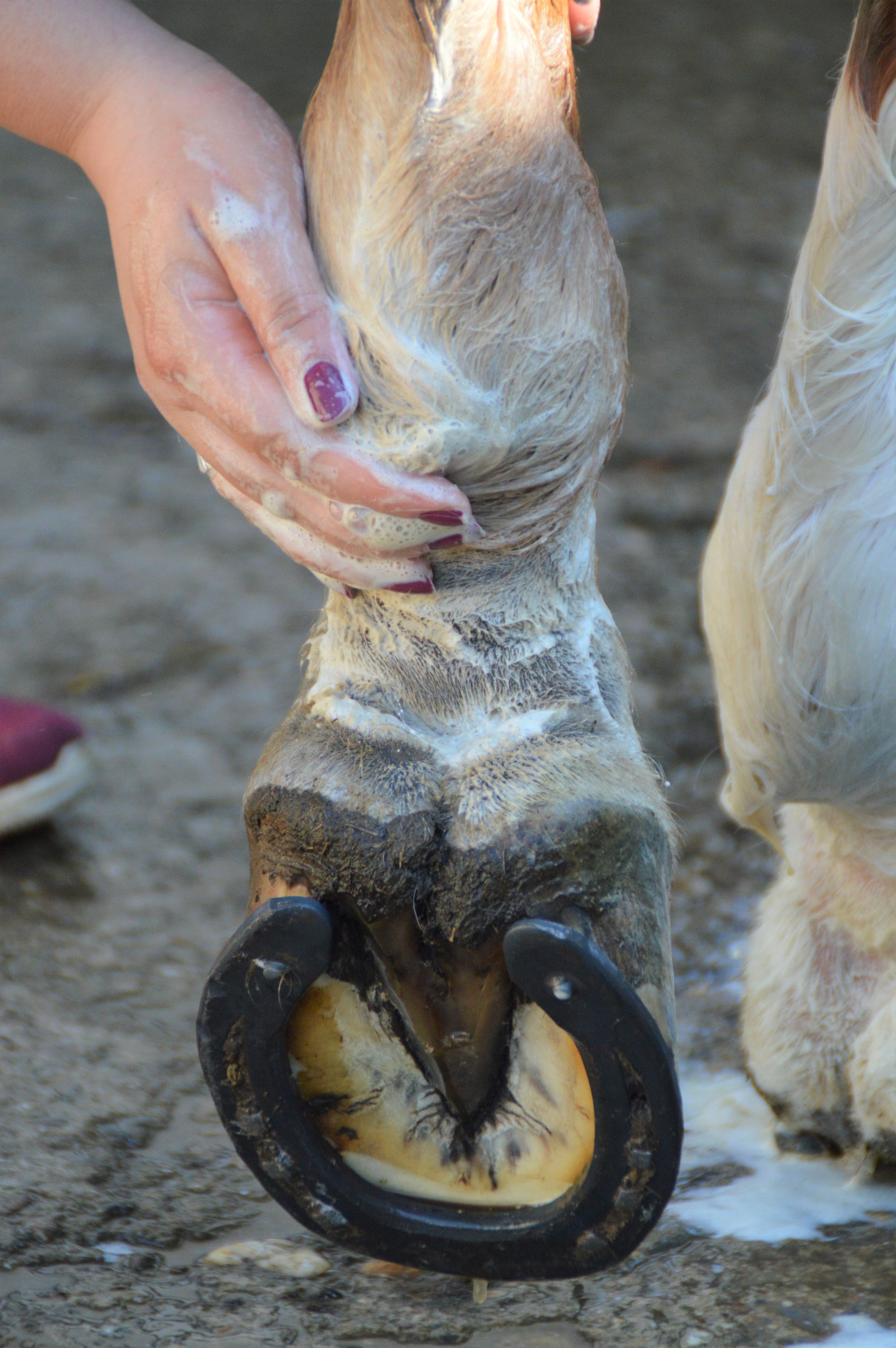 Henrys Bein wird von Mara mit der Yuki cares Maukeseife eingeschäumt.