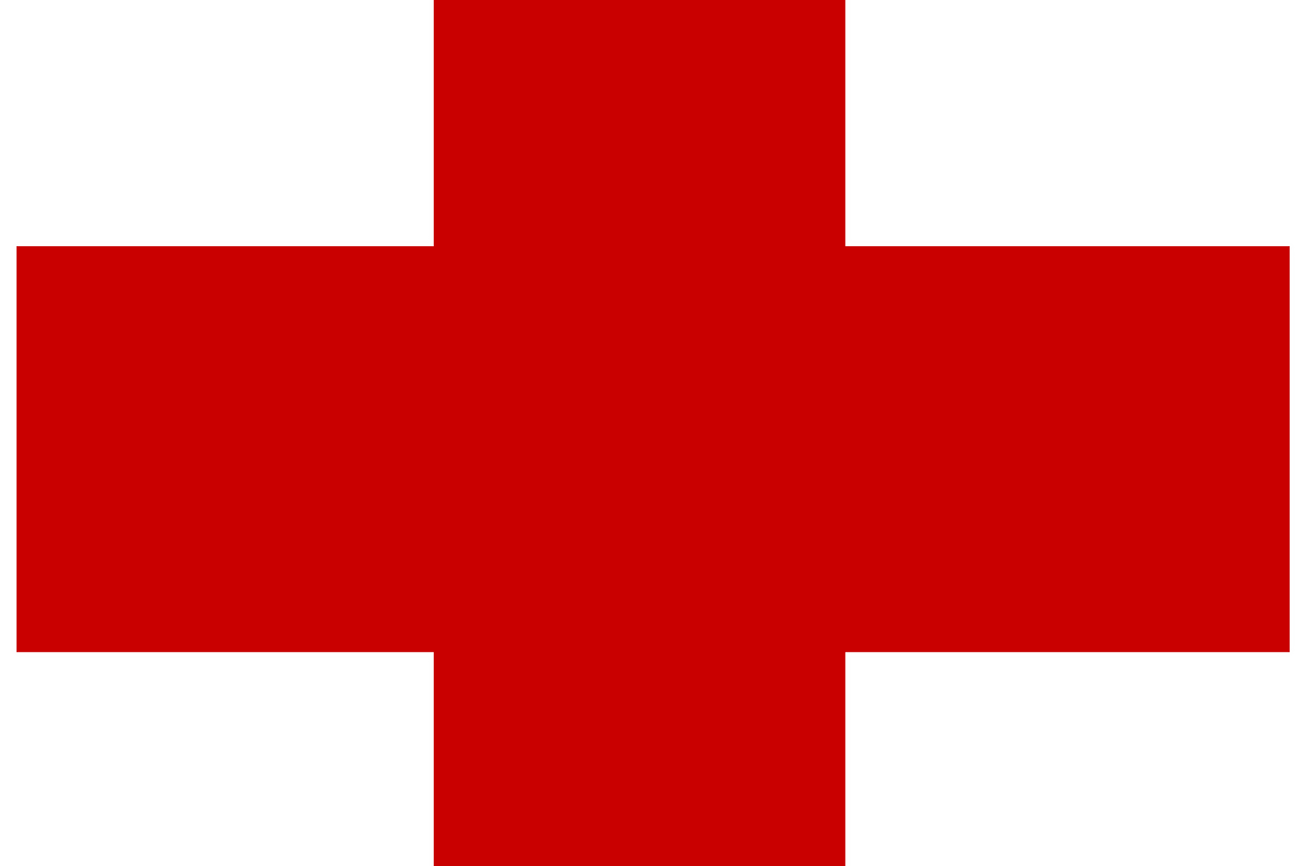 Erste Hilfe für Hunde