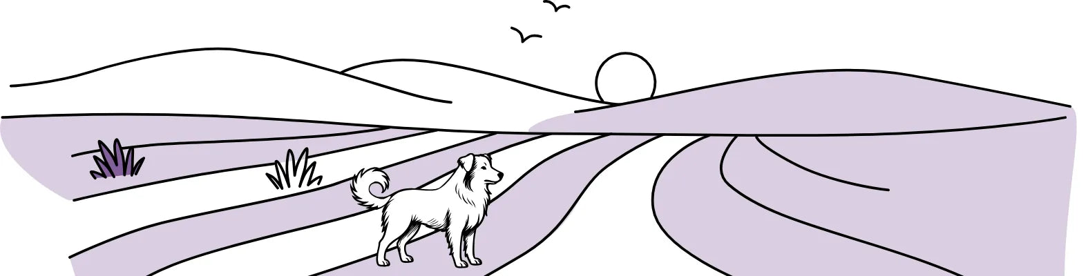 Aromatherapie für Hunde