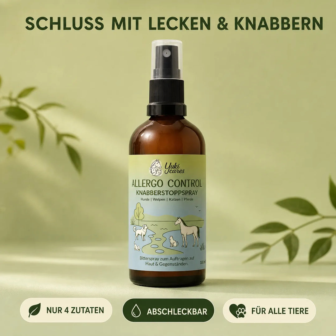 Allergo Control Knabberstopp