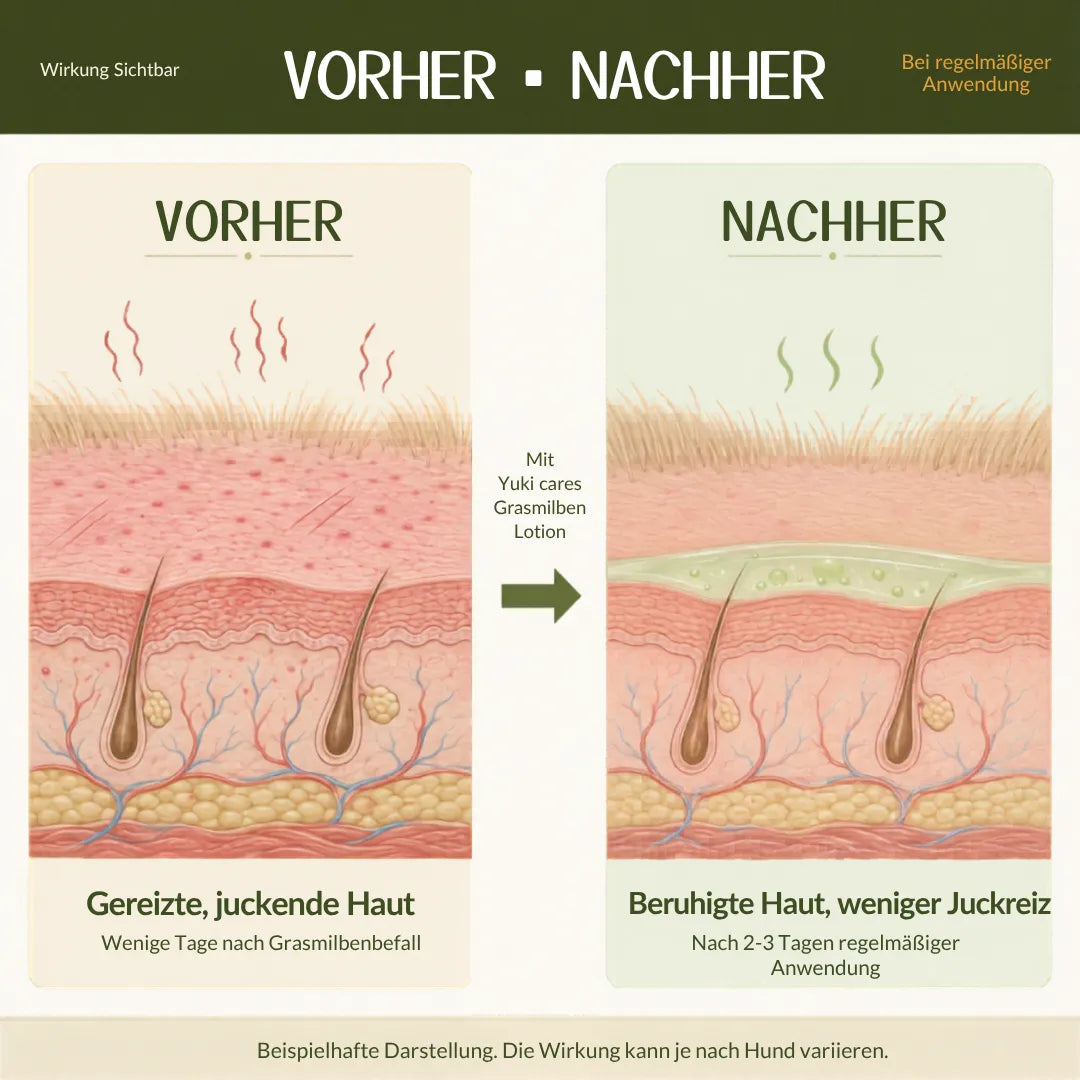 Grasmilben Lotion