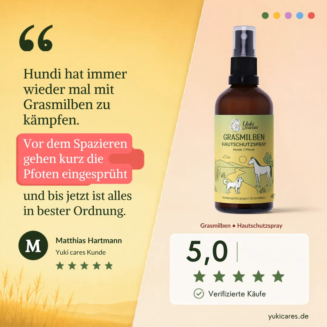 Das Yuki cares Grasmilben Hautschutzspray schützt Hunde vor Grasmilben und sorgt für gesunde Pfoten. | © Yuki cares