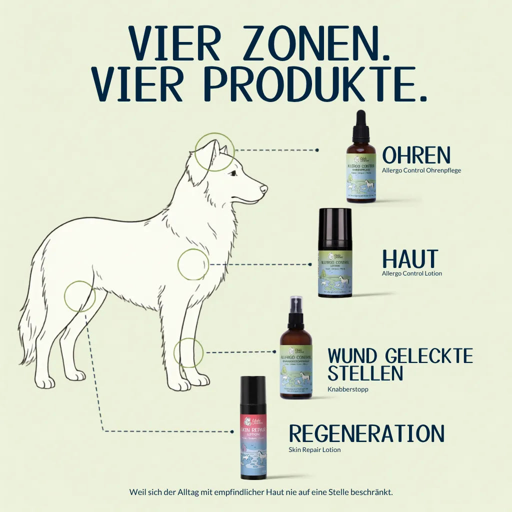 Allergiker Komplett Routine