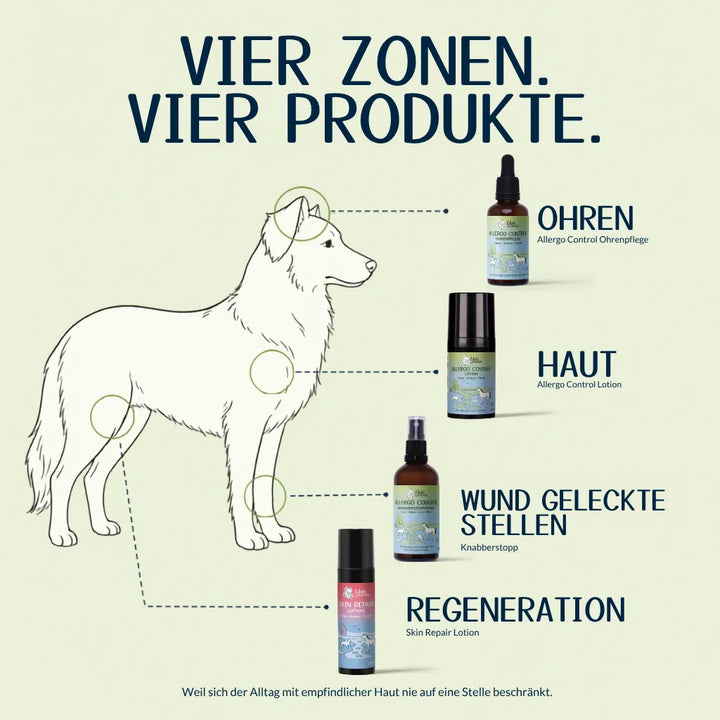 Allergiker Komplett Routine