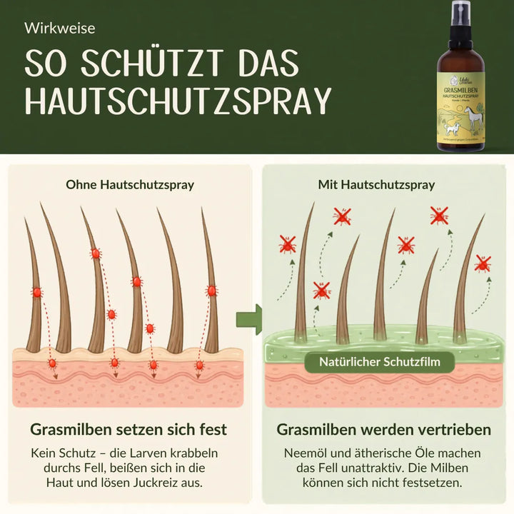 Diagramm, das zeigt, wie das Hautschutzspray Grasmilben fernhält und schützt. | 