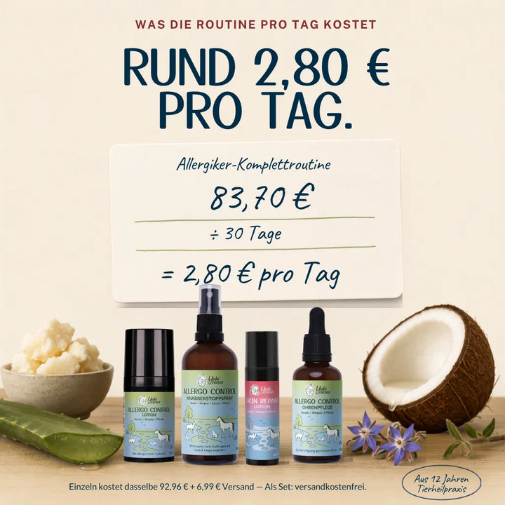 Allergiker Komplett Routine