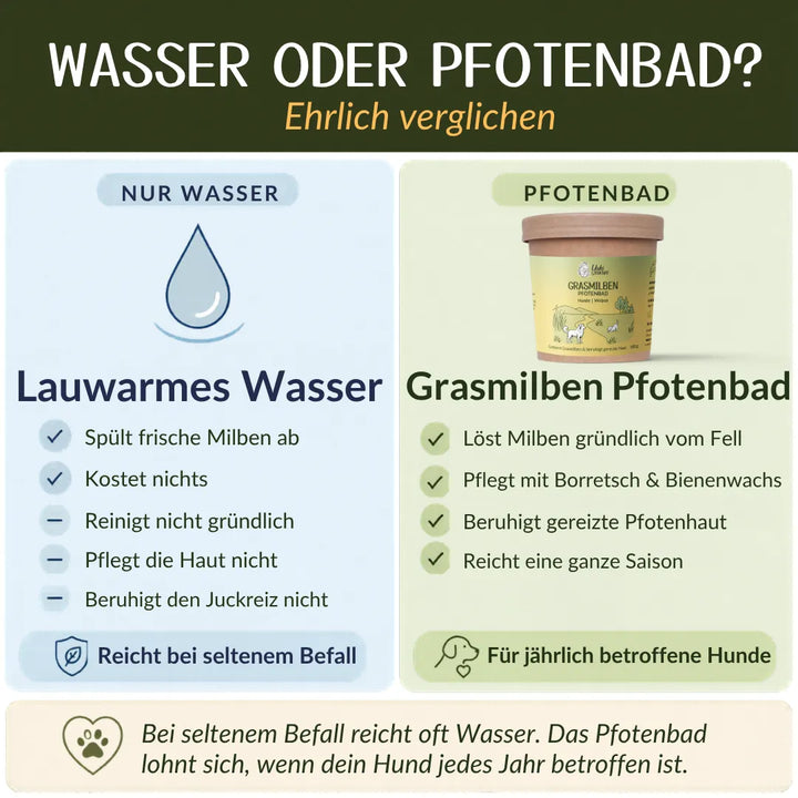 Pfotenbad Grasmilben