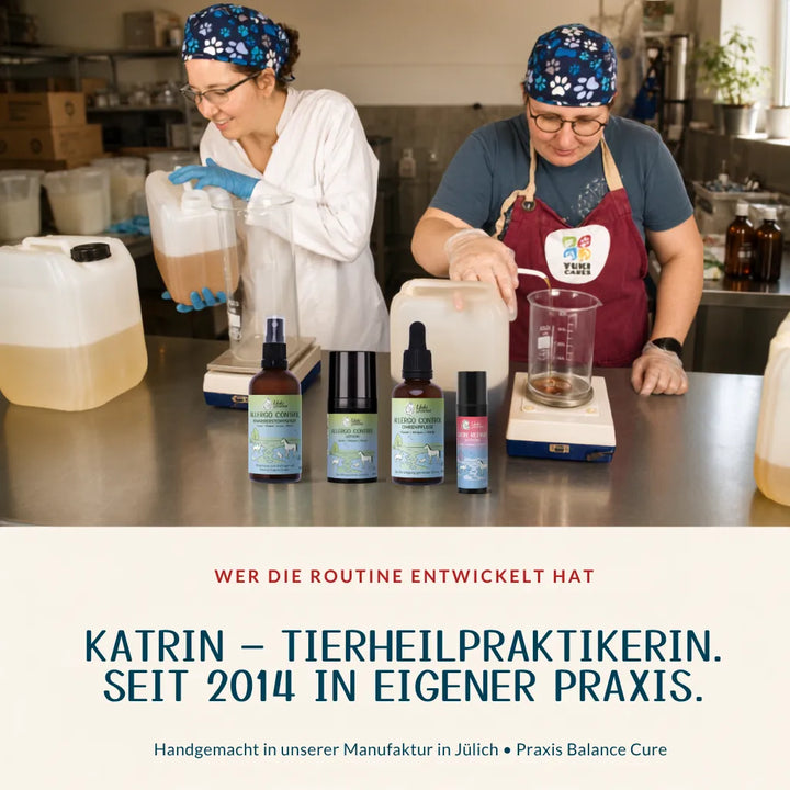 Allergiker Komplett Routine