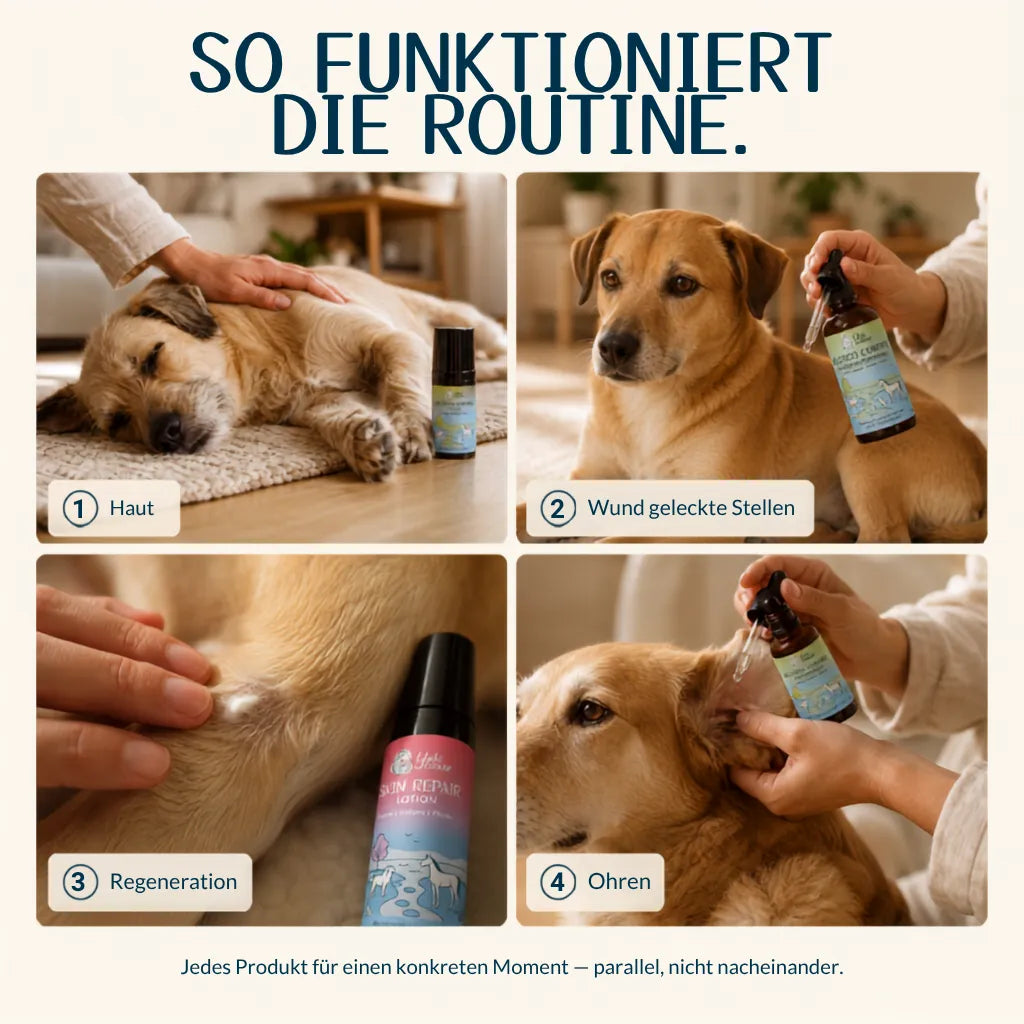 Allergiker Komplett Routine