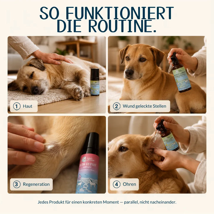 Allergiker Komplett Routine