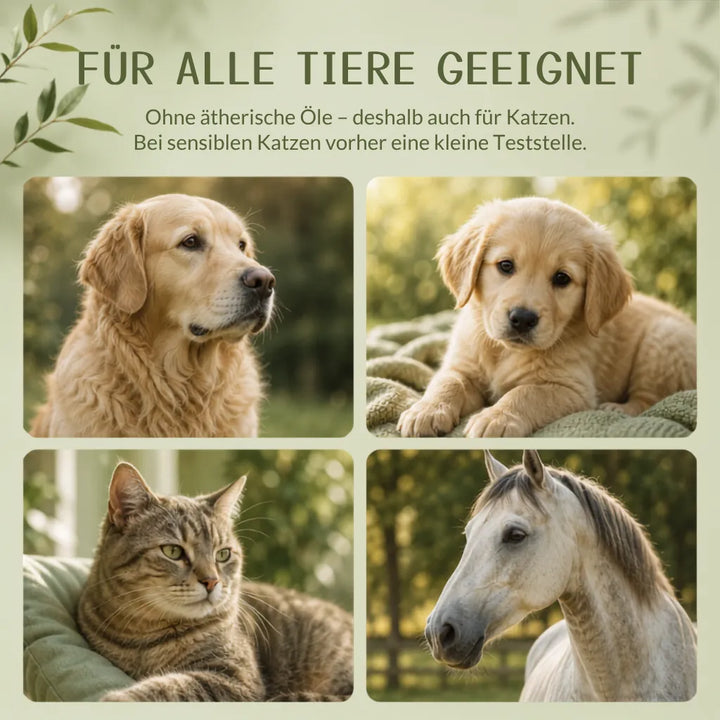 Allergo Control Knabberstopp