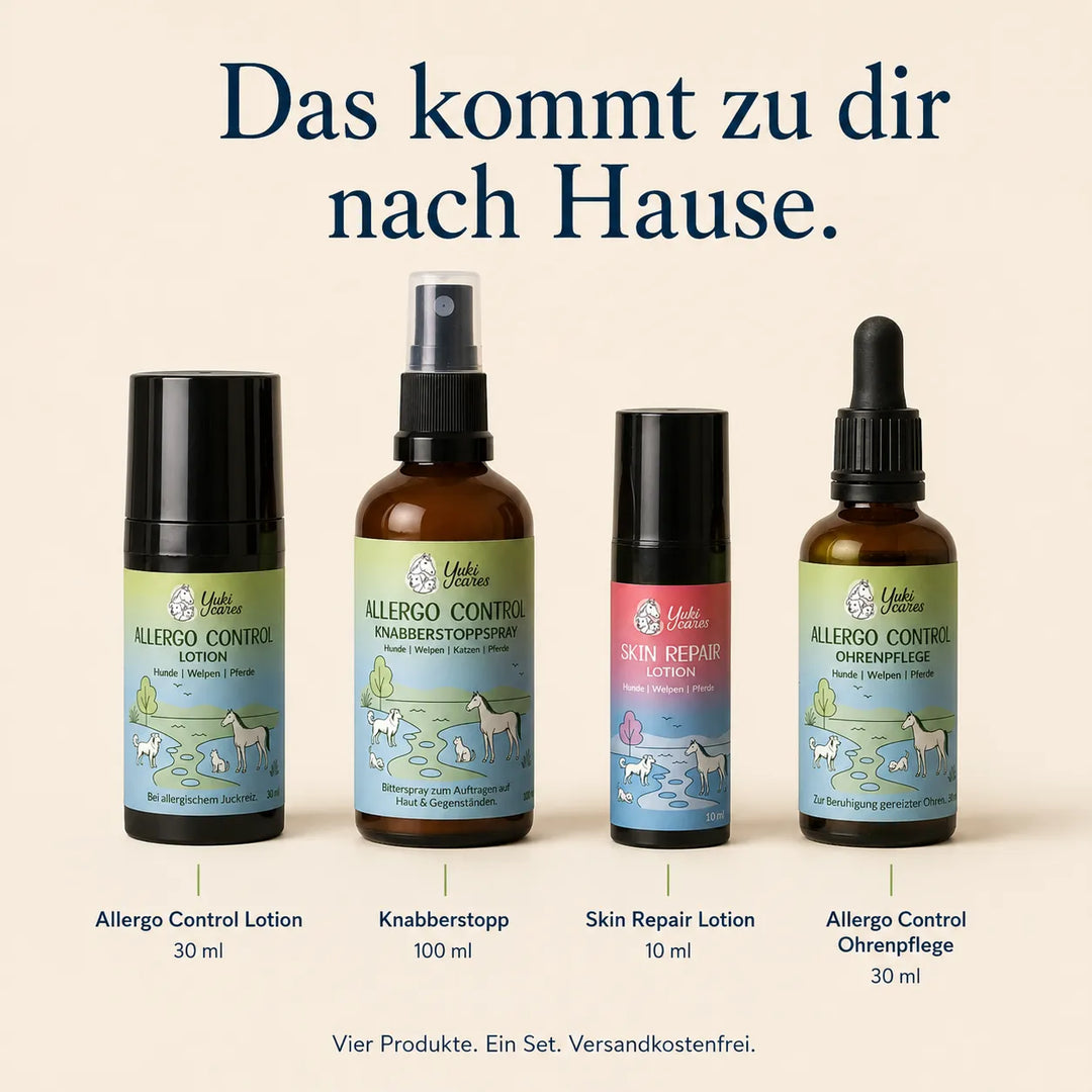 Allergiker Komplett Routine