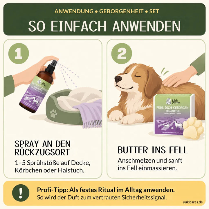 Geborgenheit Set für Hunde