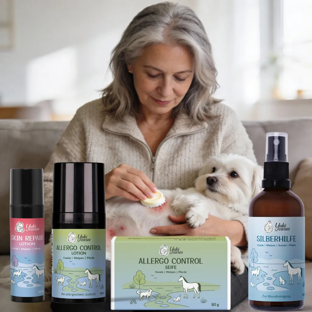 Eine Frau pflegt einen kleinen weißen Hund mit Allergieprodukten von Yuki Cares auf einem Sofa.