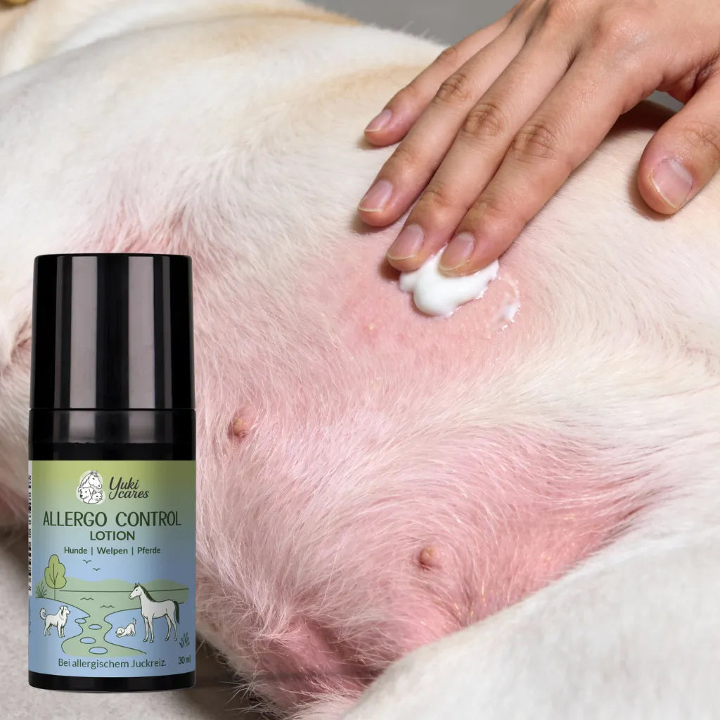 Eine Hand trägt Lotion auf die Haut eines Hundes auf, während die Allerge Control Lotion daneben steht.