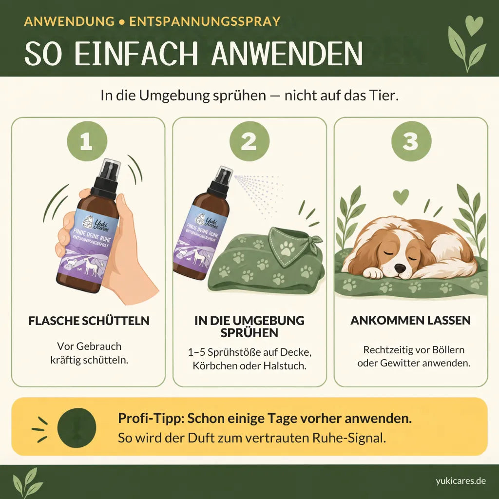 Entspannungsspray Finde deine Ruhe 100ml
