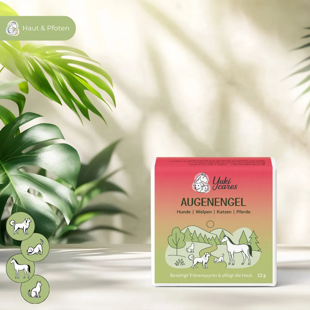 Eine Verpackung des Augenengels für Tiere steht auf einem Tisch, umgeben von grünen Blättern.