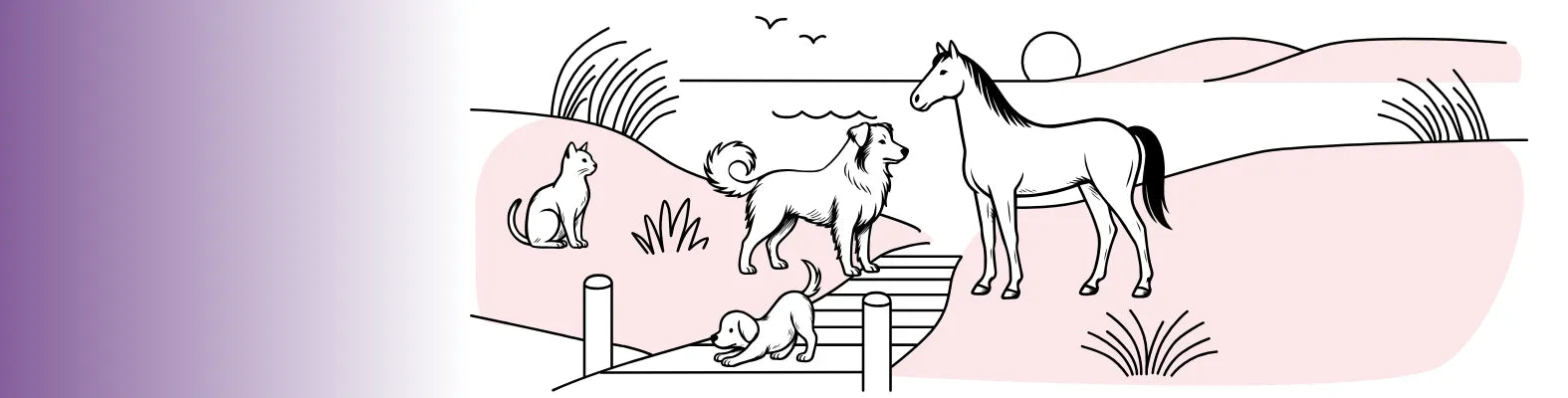 Ein Hund, eine Katze und ein Pferd stehen auf einem Steg in einer idyllischen Landschaft bei Sonnenuntergang.