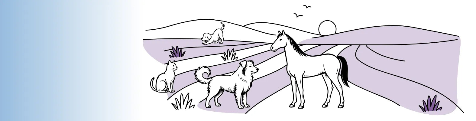 Eine Katze, ein Hund und ein Pferd stehen in einer stilisierten lila Landschaft, während ein Hund im Hintergrund spielt.