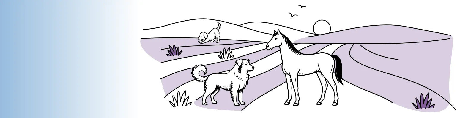 Ein Hund und ein Pferd stehen auf einem lila Feld, während ein anderer Hund in der Ferne spielt.