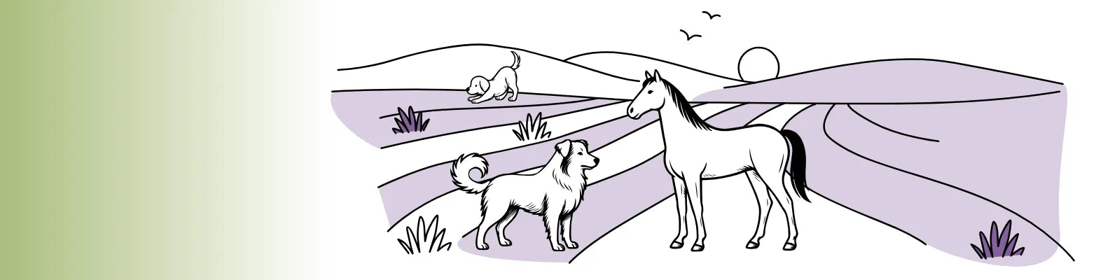 Ein Hund und ein Pferd stehen in einer lila Landschaft, während ein weiterer Hund im Hintergrund spielt.