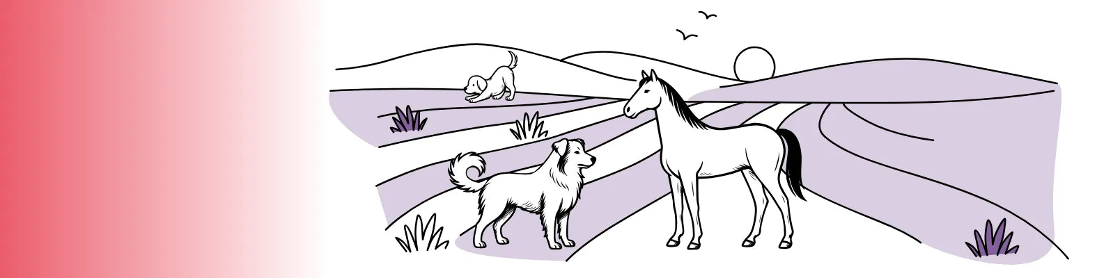 Ein Hund und ein Pferd stehen auf einem Feld, während ein weiterer Hund im Hintergrund spielt und die Sonne untergeht.