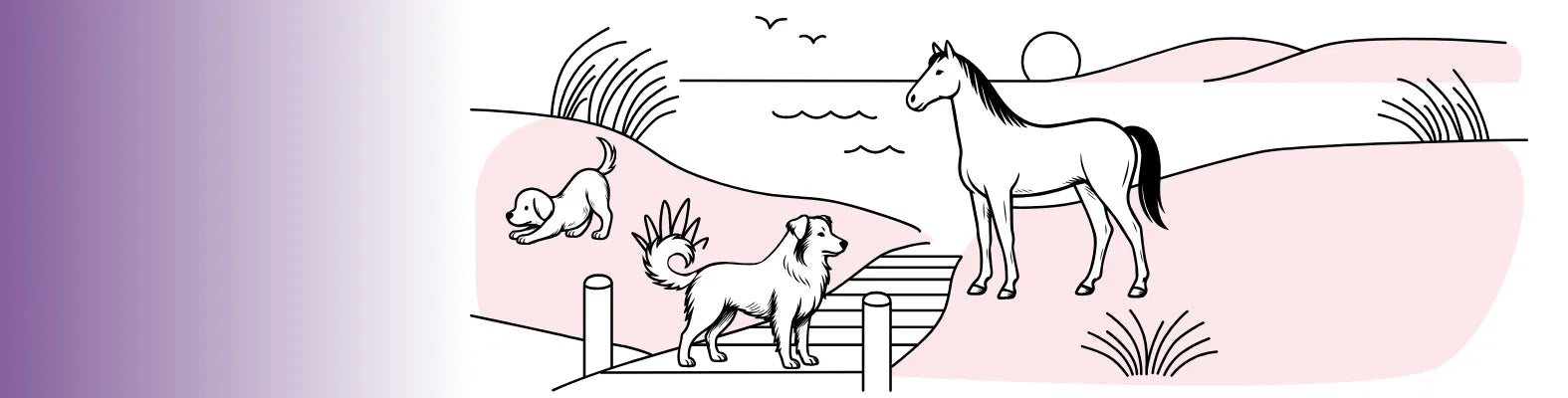 Ein Hund und ein Pferd stehen auf einem Steg am See, während ein Welpe im Hintergrund spielt.