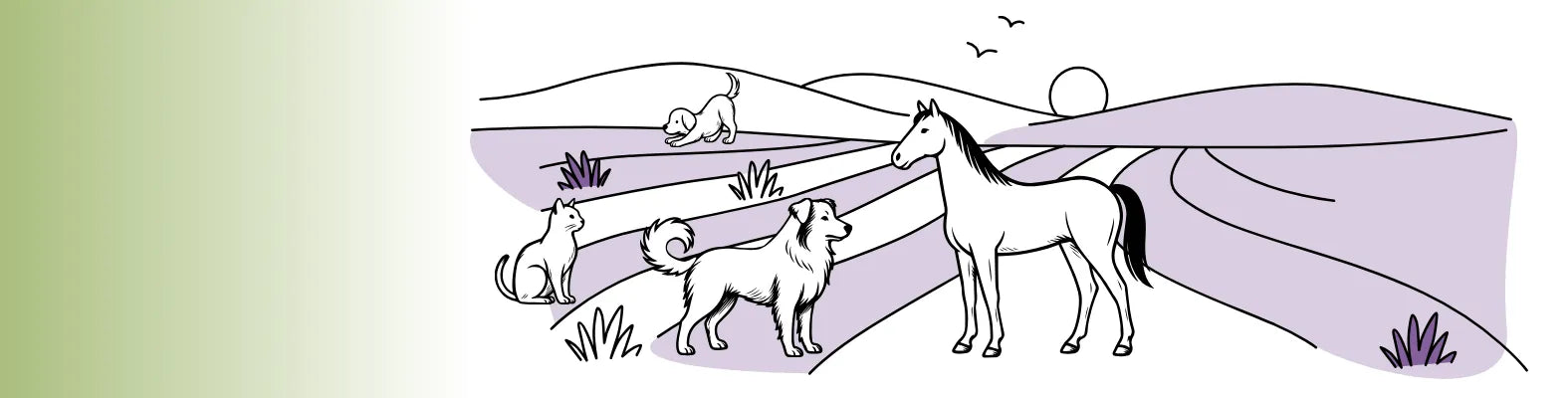 Ein Hund, eine Katze und ein Pferd stehen in einer lila Landschaft, während ein zweiter Hund im Hintergrund läuft.