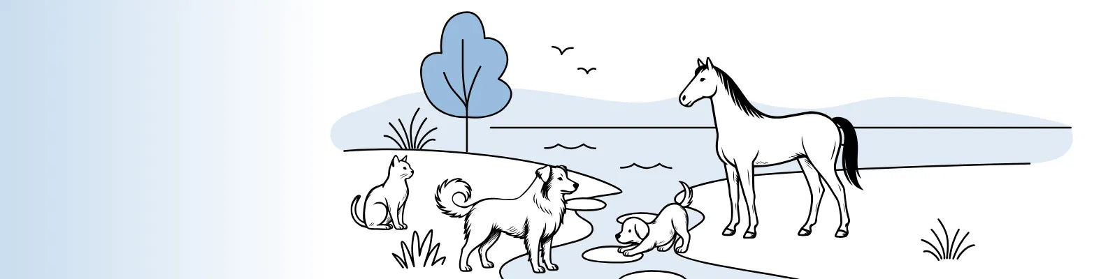 Ein Hund, eine Katze, ein Pferd und ein Welpe genießen gemeinsam die Natur an einem Flussufer.