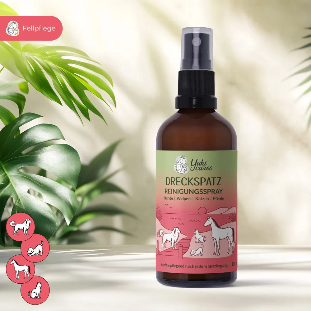 Ein Dreckspatz Reinigungsspray für Haustiere steht auf einem Tisch, umgeben von grünen Blättern.