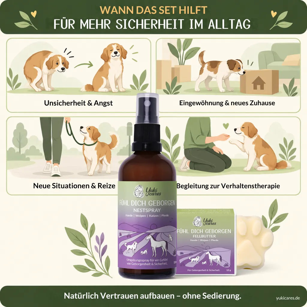Geborgenheit Set für Hunde