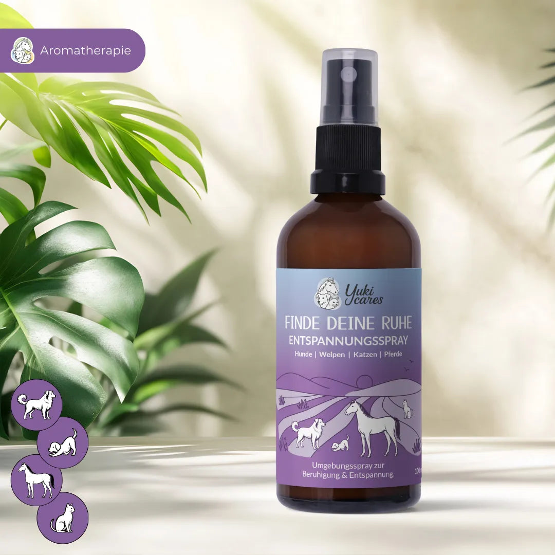 Eine Flasche Entspannungsspray für Tiere steht auf einem Tisch, umgeben von grünen Blättern.