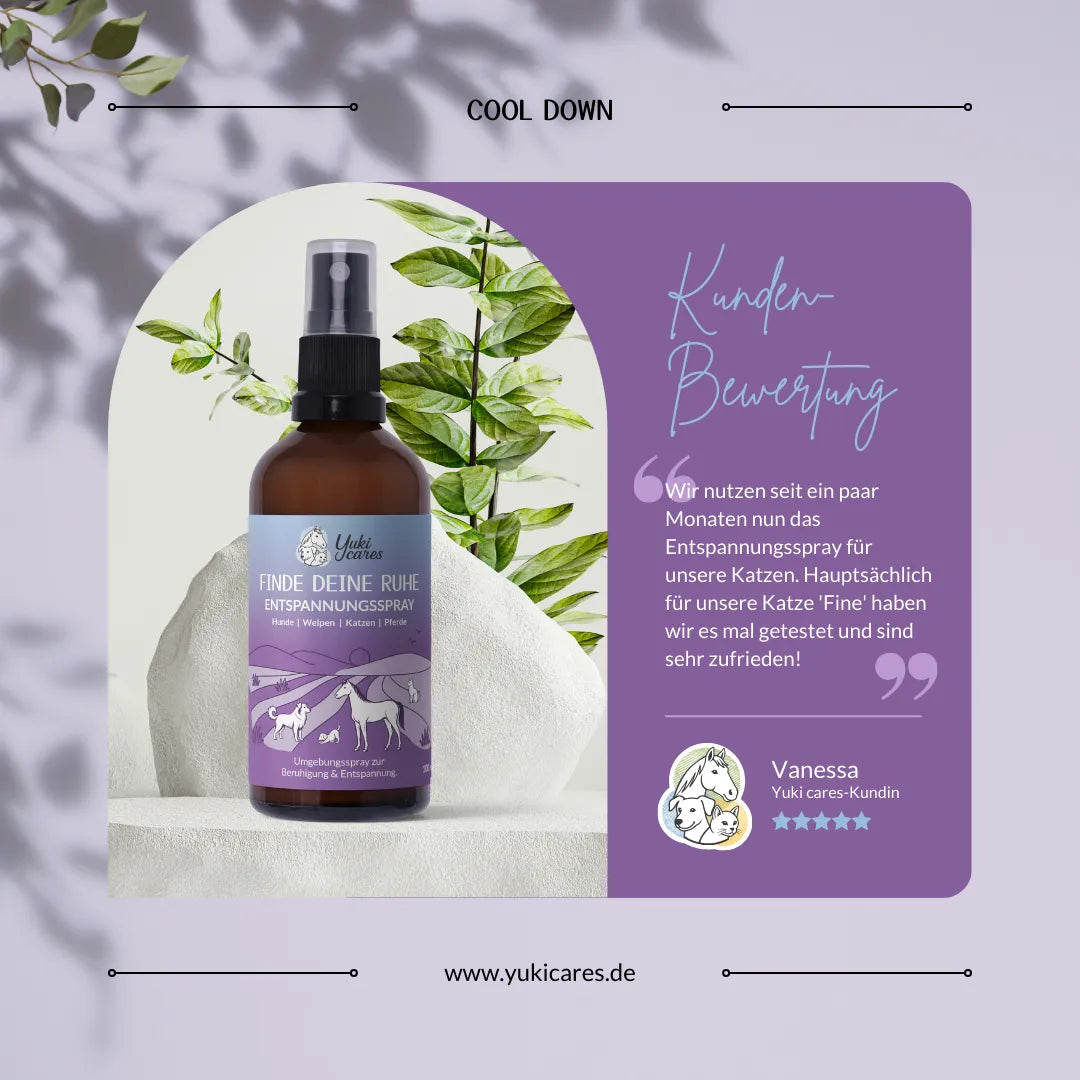 Eine Flasche Entspannungsspray steht vor grünen Blättern, begleitet von einer Kundenbewertung über die Zufriedenheit.