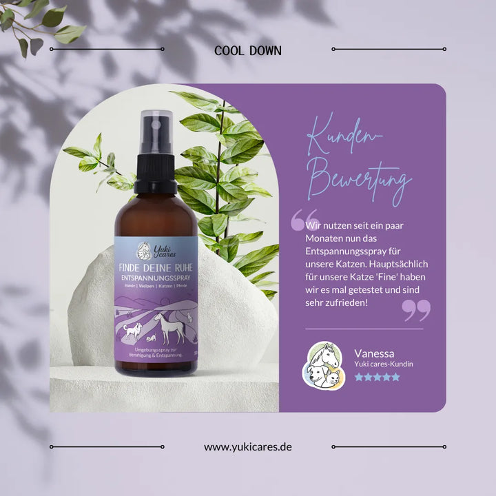 Eine Flasche Entspannungsspray steht vor grünen Blättern, begleitet von einer Kundenbewertung über die Zufriedenheit.