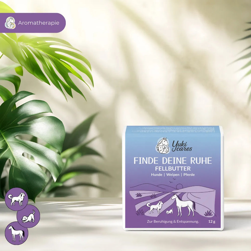 Eine Box "Finde Deine Ruhe Fellbutter" für Hunde, Welpen und Pferde steht auf einem Tisch mit grünen Pflanzen im Hintergrund.
