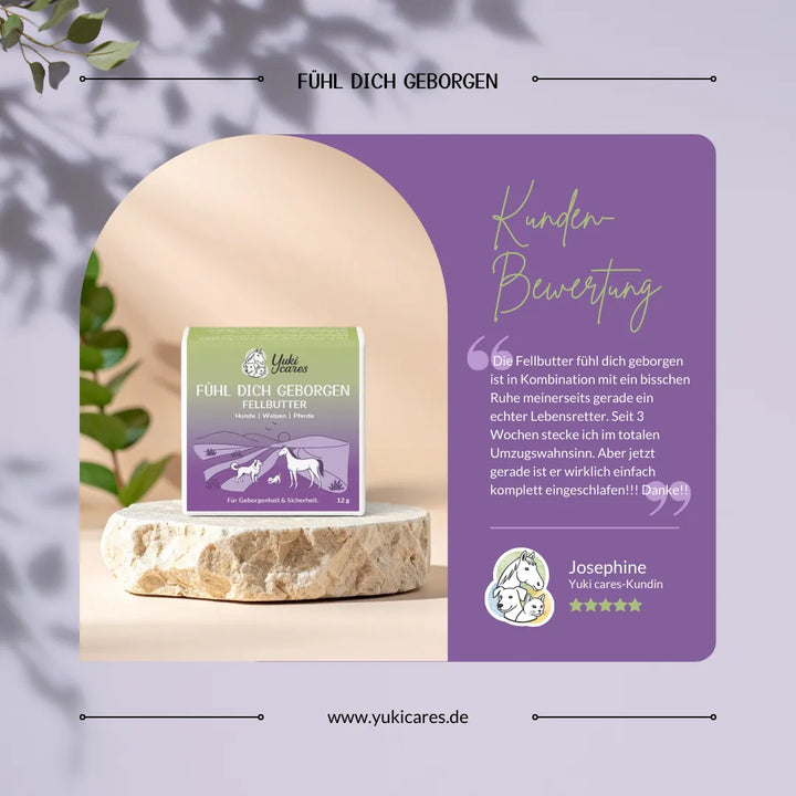 Ein Produkt "Fühl dich geborgen Fellbutter" steht auf einem Stein, daneben eine Kundenbewertung auf lila Hintergrund.