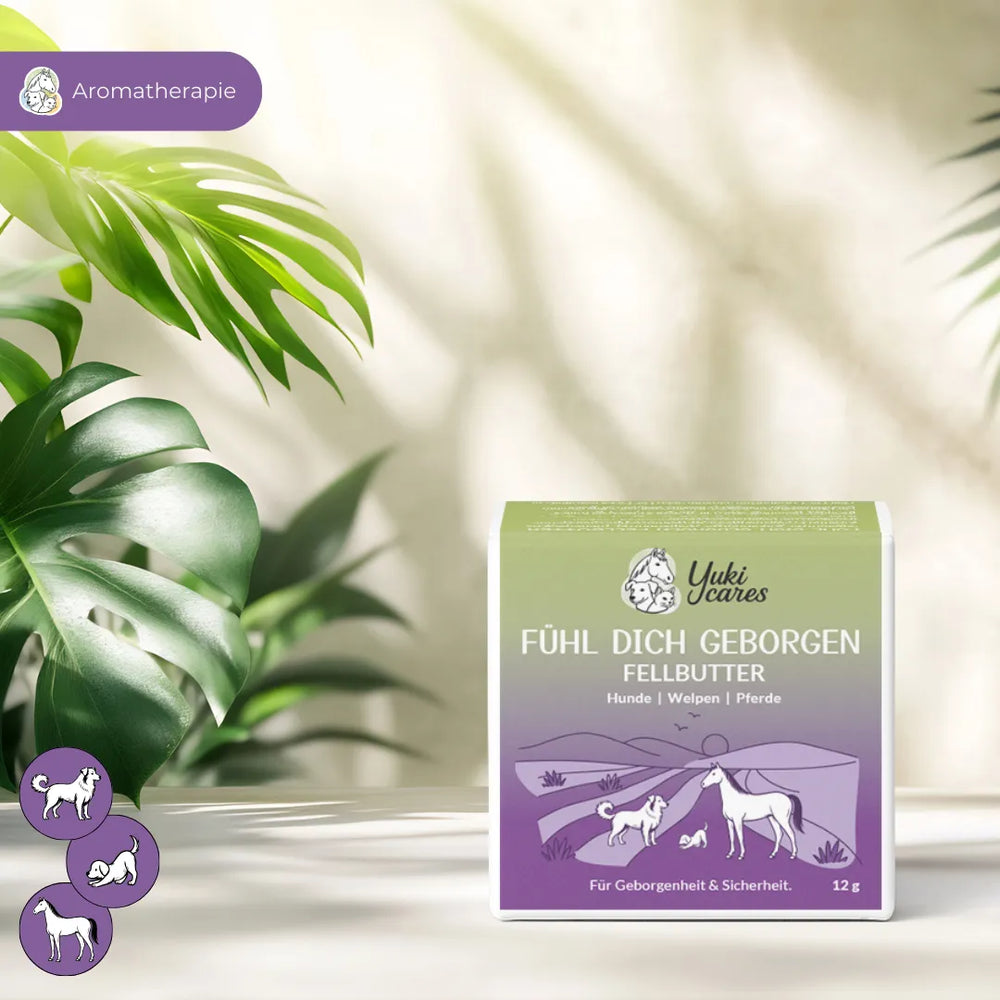 Eine Packung "Fühl Dich Geborgen" Fellbutter für Tiere steht auf einem Tisch, umgeben von grünen Pflanzen.