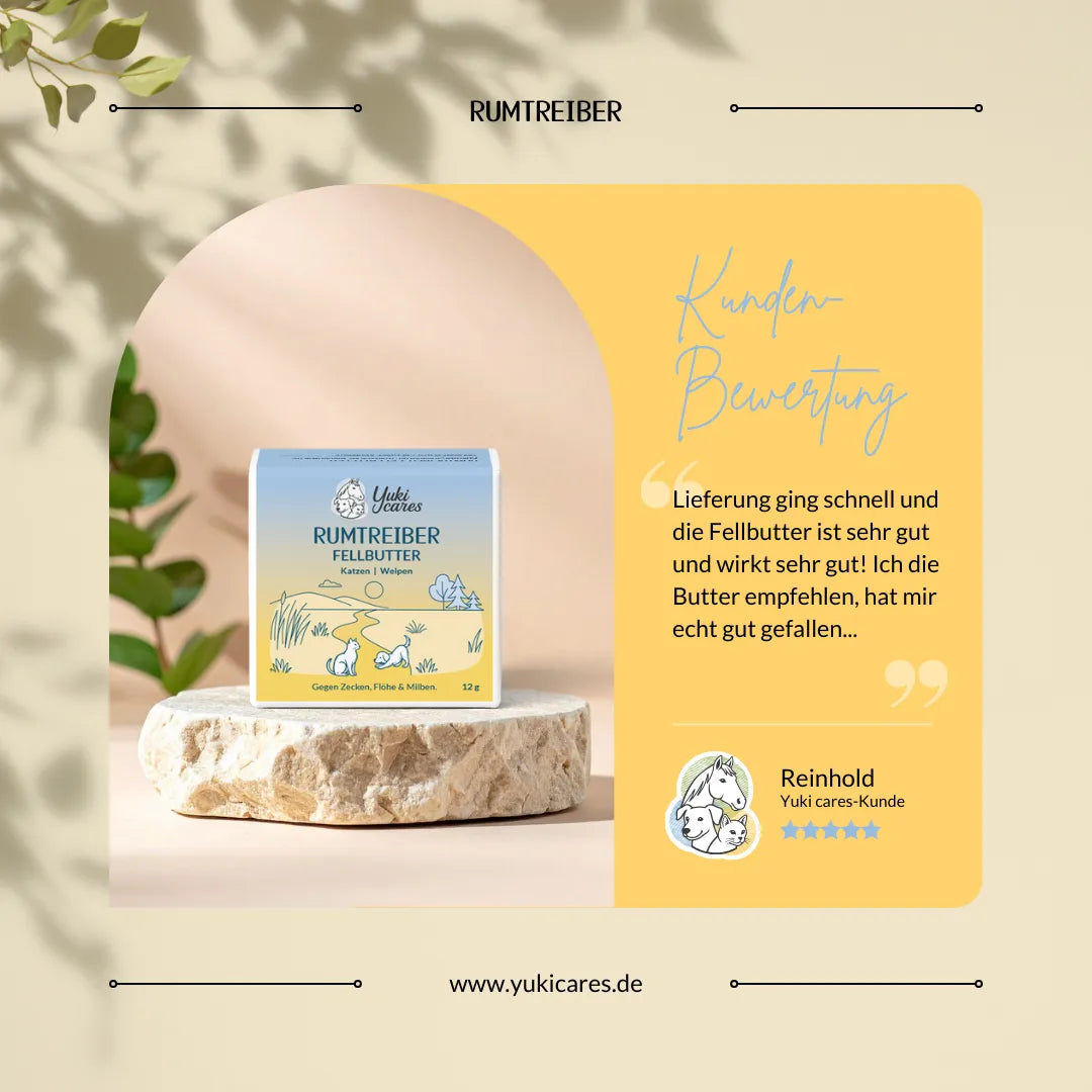 Eine Packung Rumtreiber Fellbutter steht auf einem Stein, neben einer Kundenbewertung auf gelbem Hintergrund.