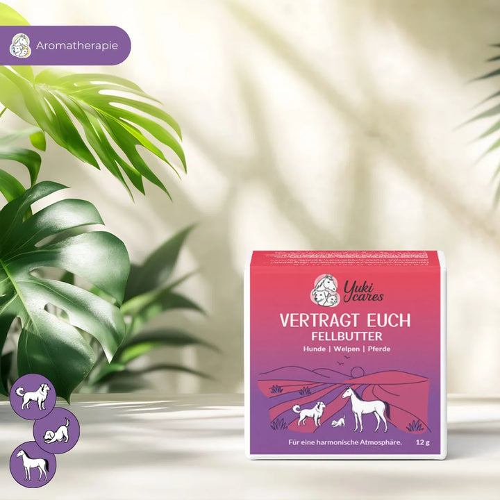 Eine Packung Fellbutter für Hunde, Welpen und Pferde steht auf einem Tisch, umgeben von grünen Pflanzen.