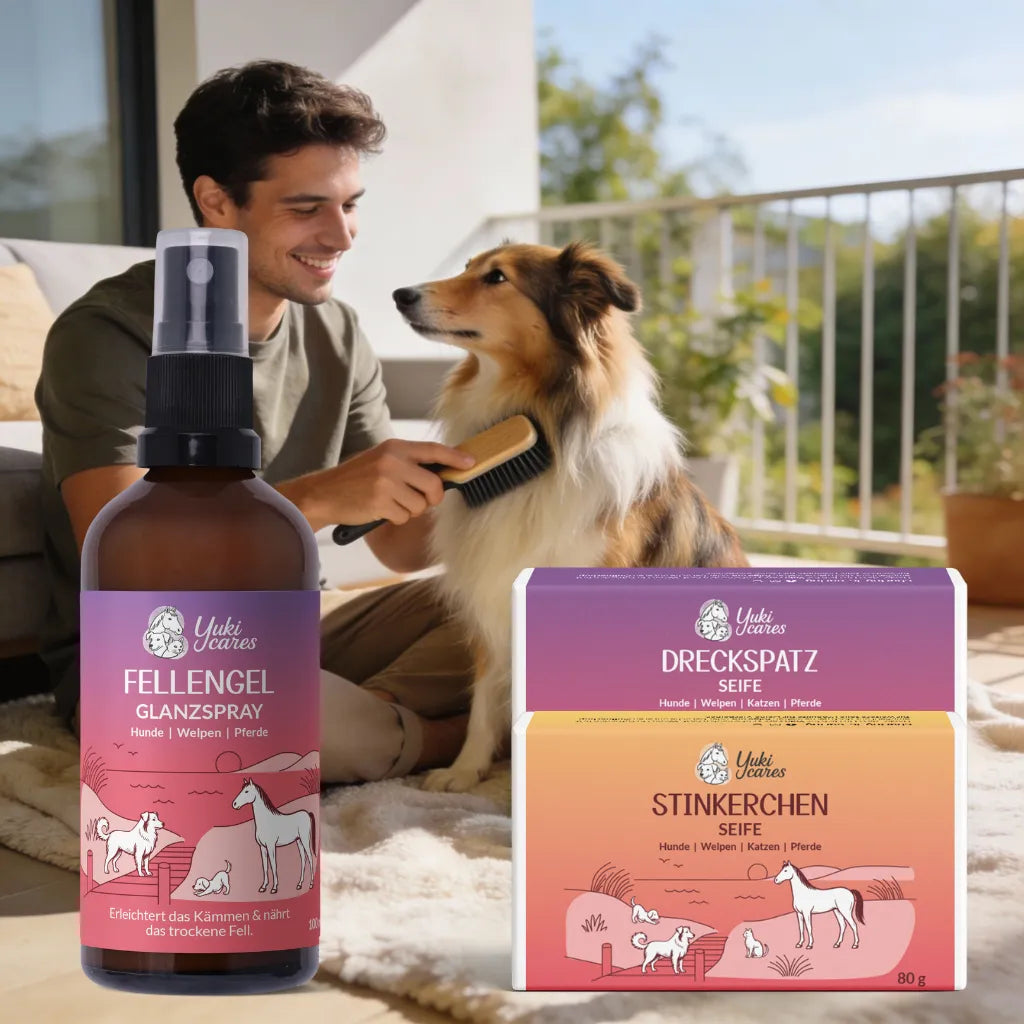 Ein Mann bürstet liebevoll seinen Hund auf der Terrasse, während Fellpflegeprodukte prominent im Vordergrund stehen.