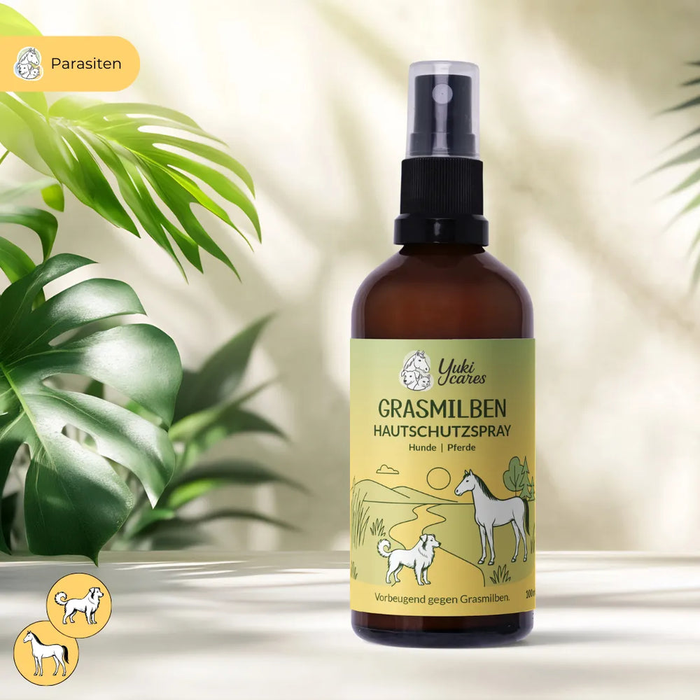 Eine Flasche Grasmilben-Hautschutzspray für Hunde und Pferde steht neben grünen Pflanzen im Sonnenlicht.