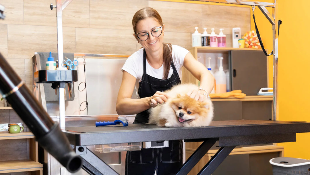 Eine lächelnde Frau kämmt einen flauschigen Hund in einem hellen Hundesalon auf einem Tisch.