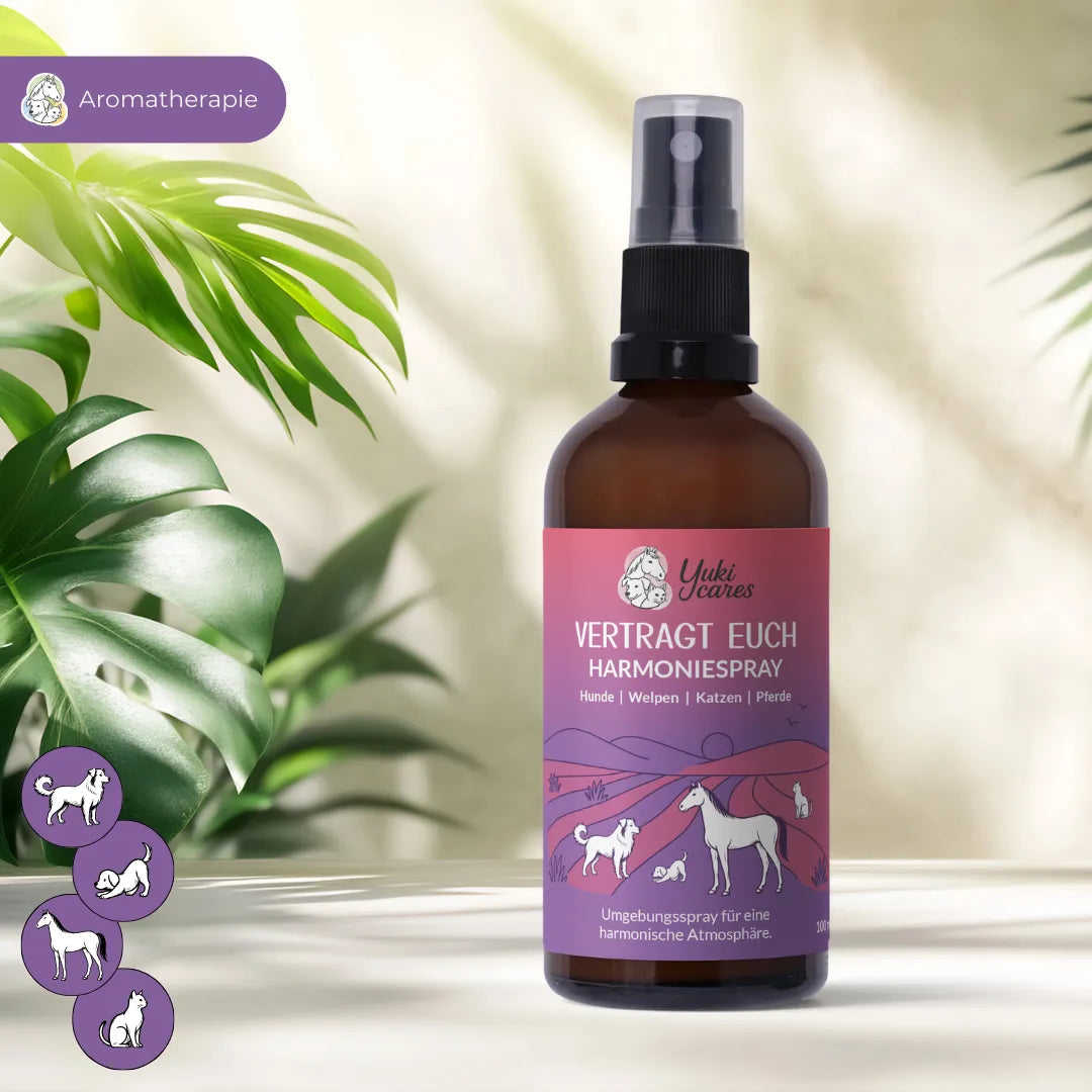 Eine Flasche Harmonie-Spray für Haustiere steht auf einem Tisch, umgeben von grünen Blättern, mit einem violetten Etikett.