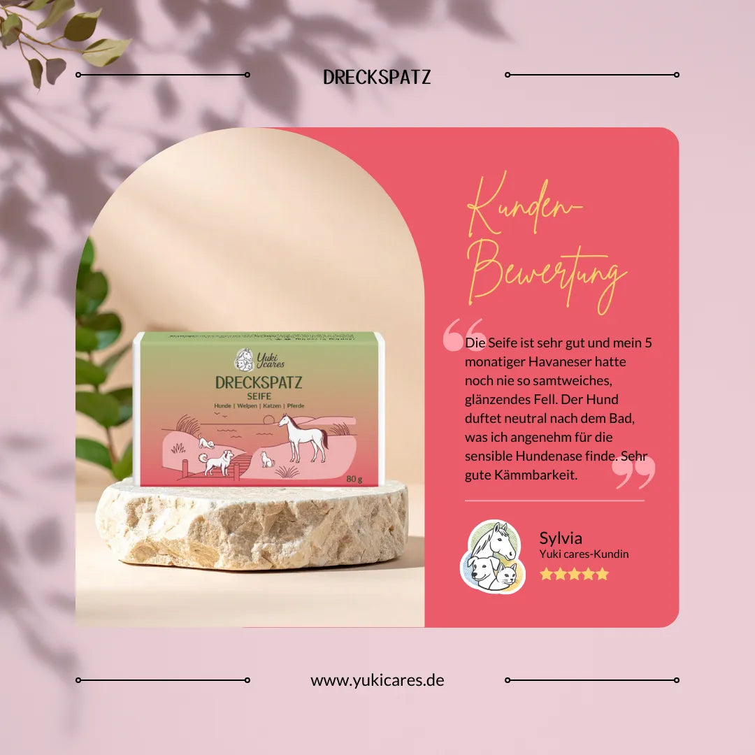 Eine Dreckspatz-Seife steht auf einem Stein, daneben eine Kundenbewertung mit Lob für die Fellpflege von Hunden.
