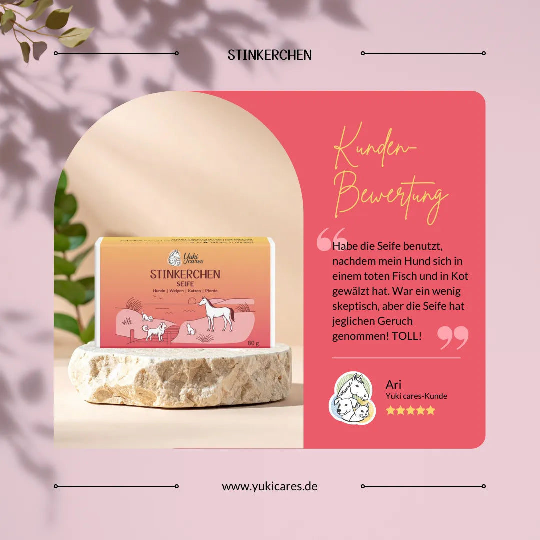 Eine Seife namens "Stinkerchen" liegt auf einem Stein, daneben eine begeisterte Kundenbewertung über die Wirksamkeit.
