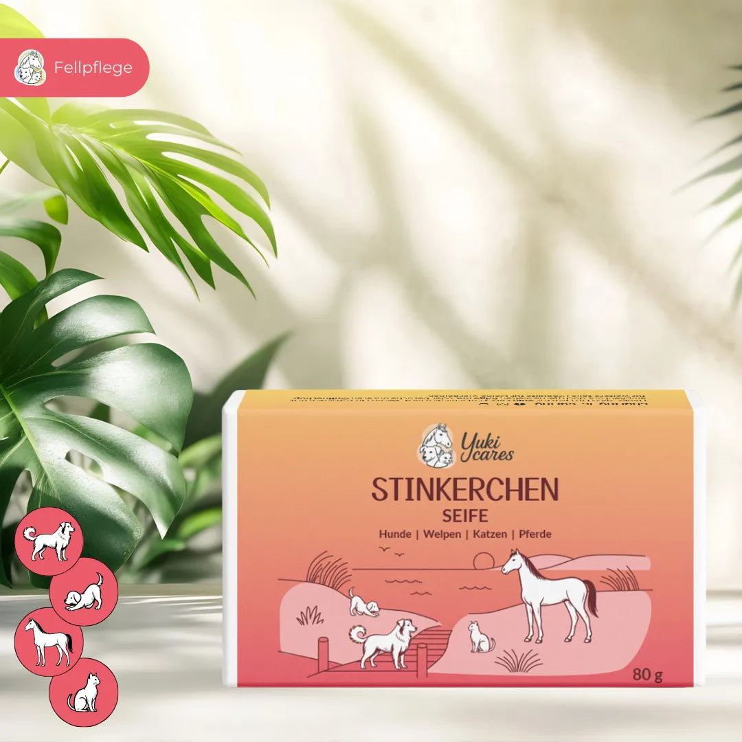 Eine Packung "Stinkerchen" Seife für Haustiere steht auf einem Tisch, umgeben von grünen Pflanzen.